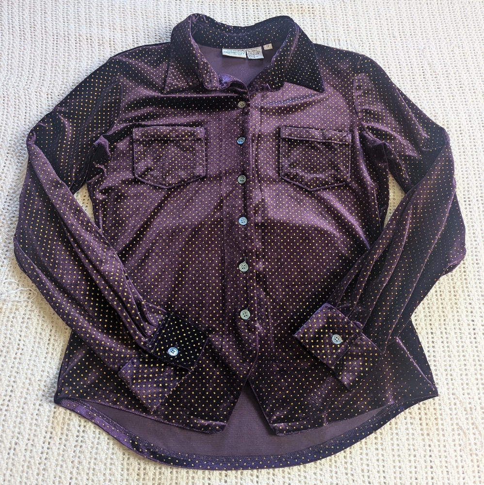 NEWPORT NEWS JEANOLOGY Women's 12 Velvet Blouse Top Purple Gold Long Sleeve